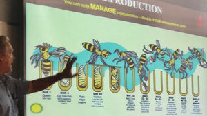 Free Beekeeping Classes