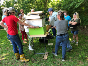 Free Beekeeping Classes