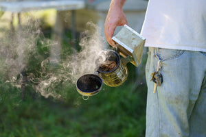 Free Beekeeping Classes