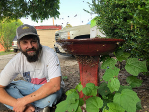 Free Beekeeping Classes
