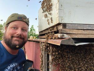 Free Beekeeping Classes