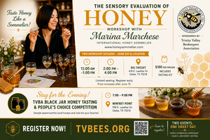 Honey Sensory Workshop (11:00 A.M. - 1:00 P.M.)