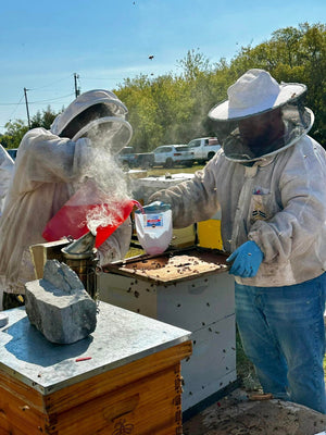 Visit an Apiary!