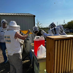 Visit an Apiary!