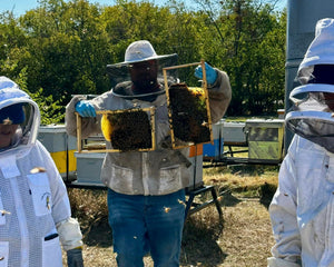 Visit an Apiary!