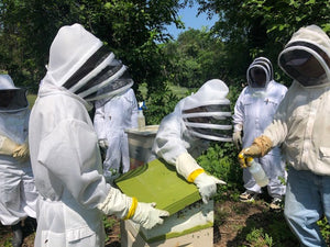 Visit an Apiary!