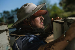 Visit an Apiary!