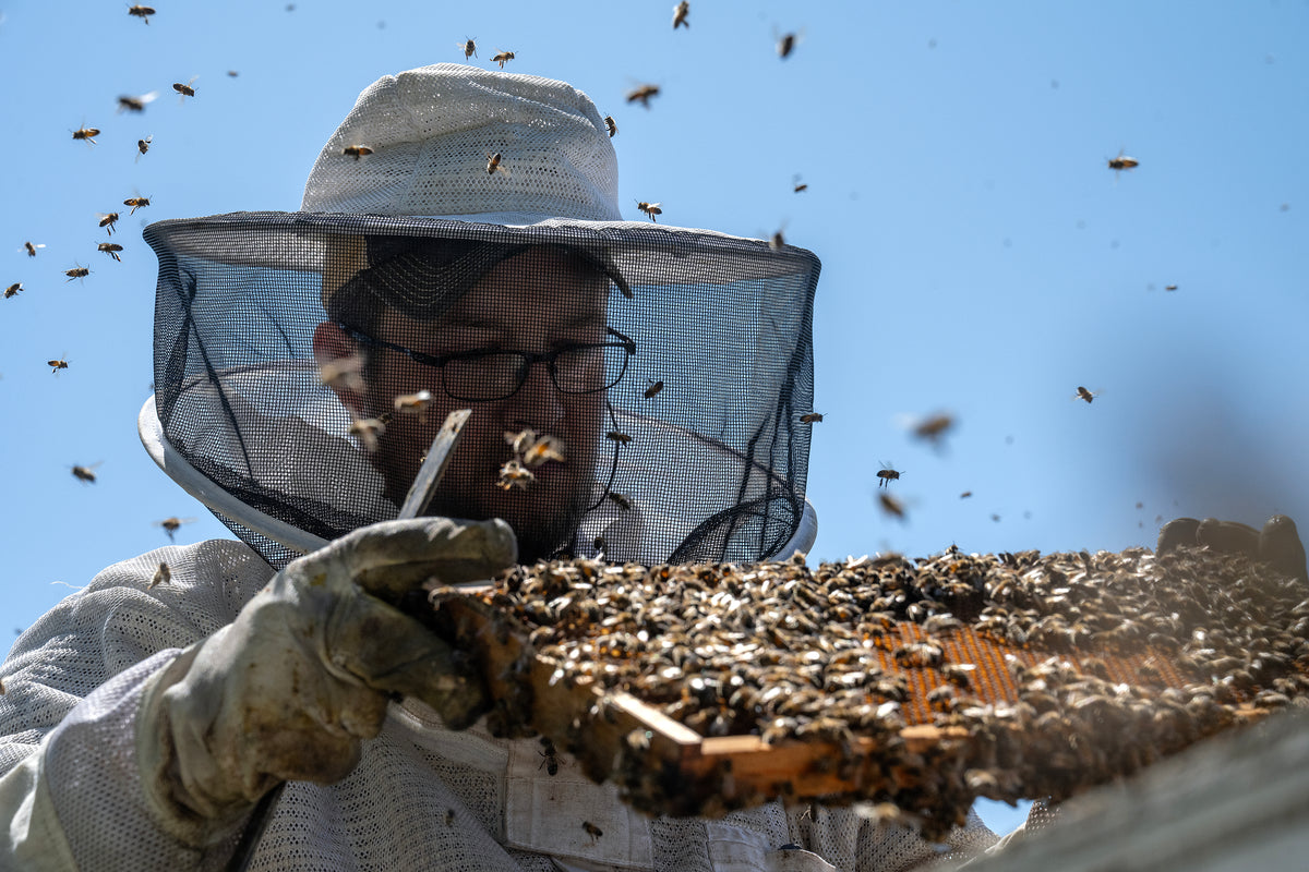 Donate to Support TVBA's Mission