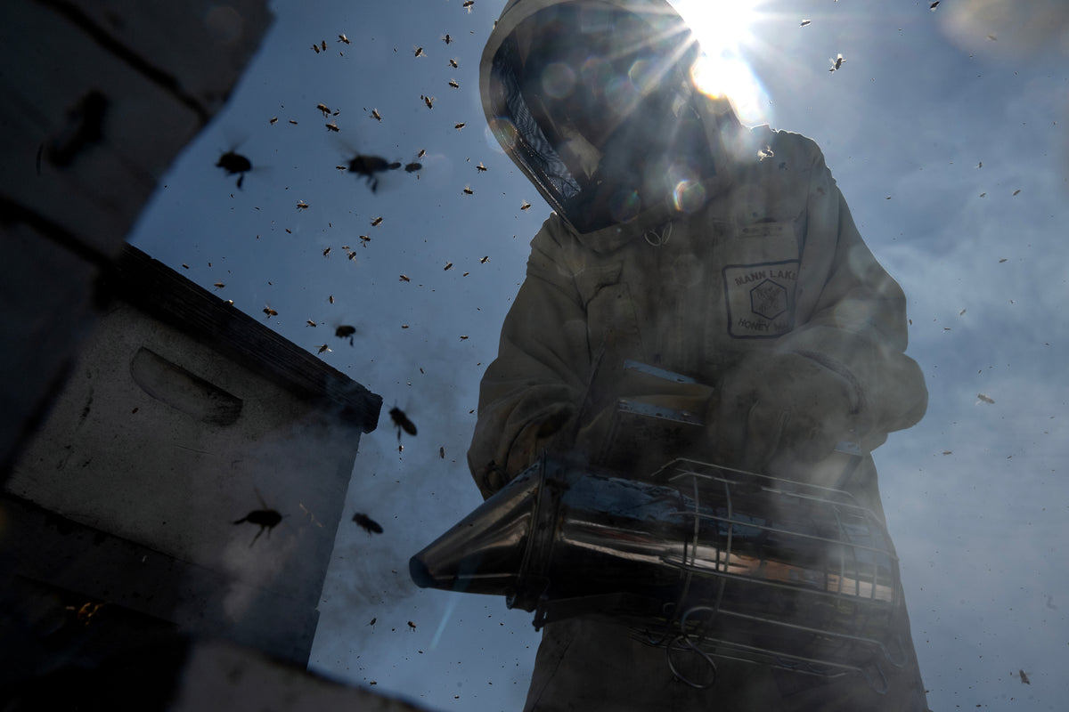 Donate to Support TVBA's Mission