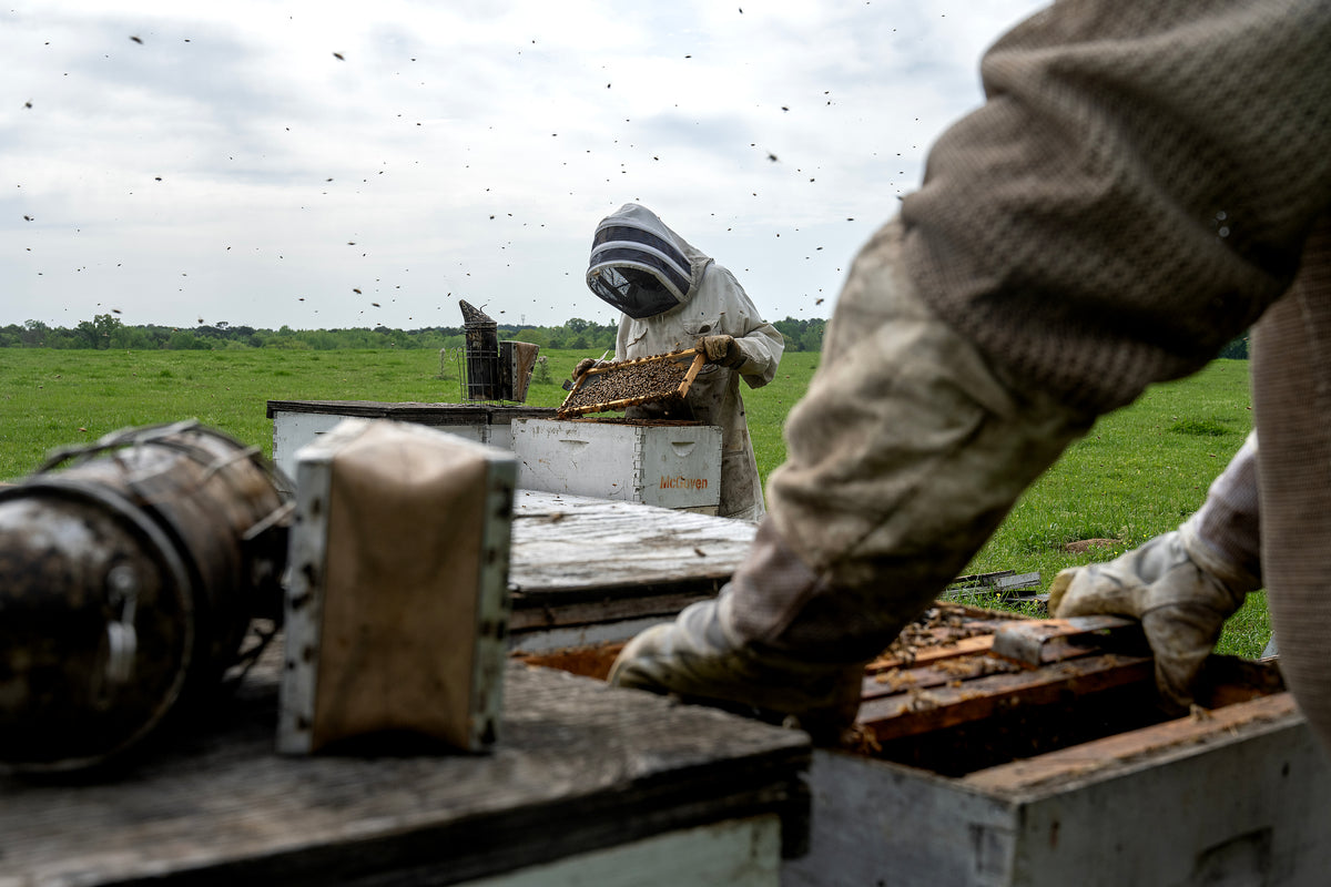 Donate to Support TVBA's Mission