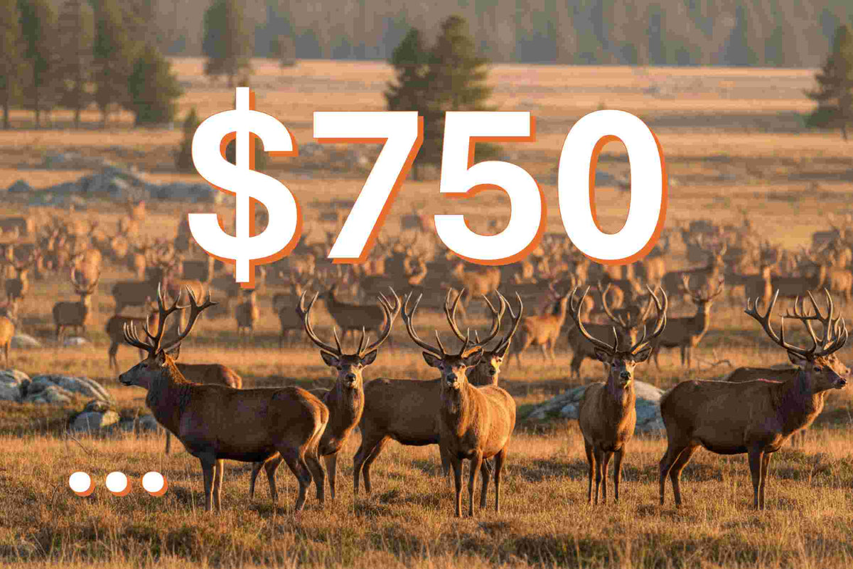 Donate to Support TVBA's Mission