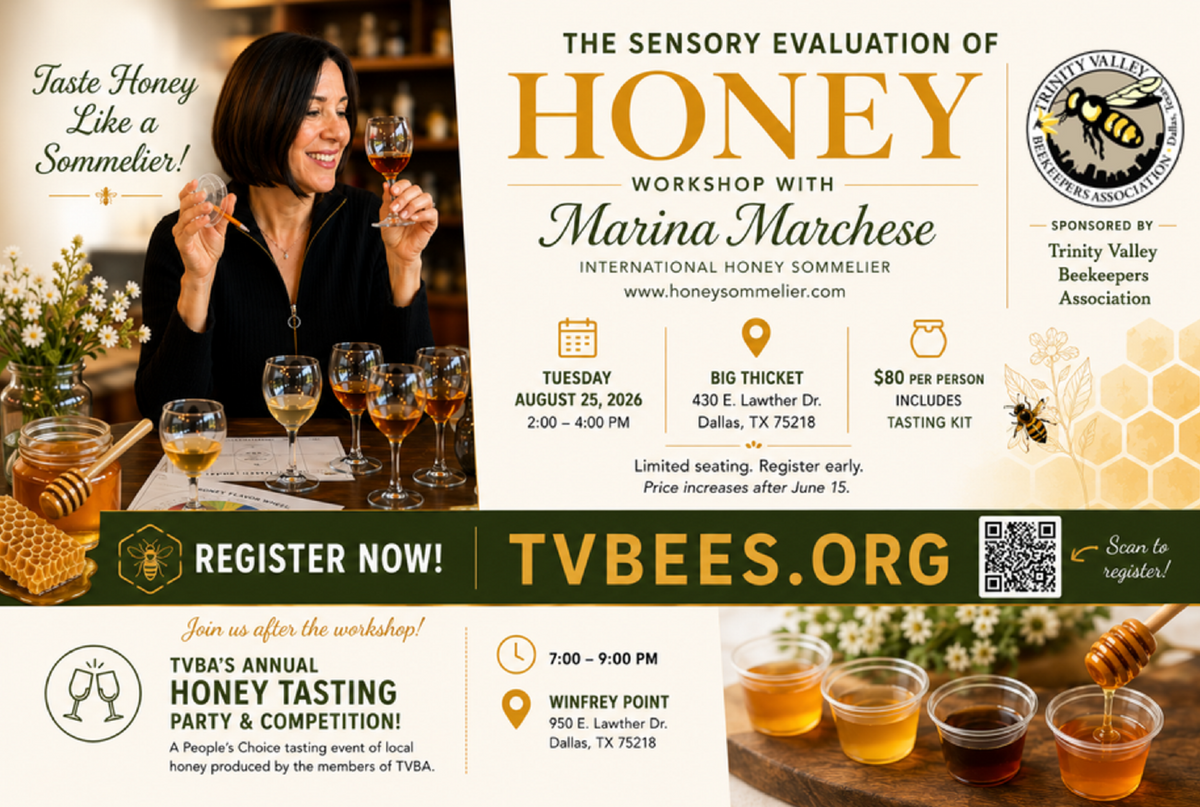 Honey Sensory Workshop