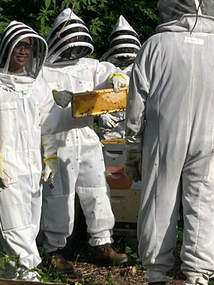 Free Beekeeping Classes