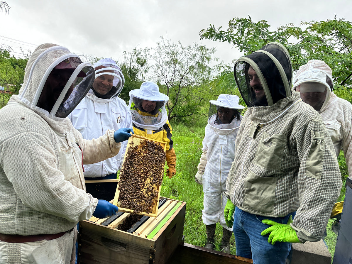 Free Beekeeping Classes