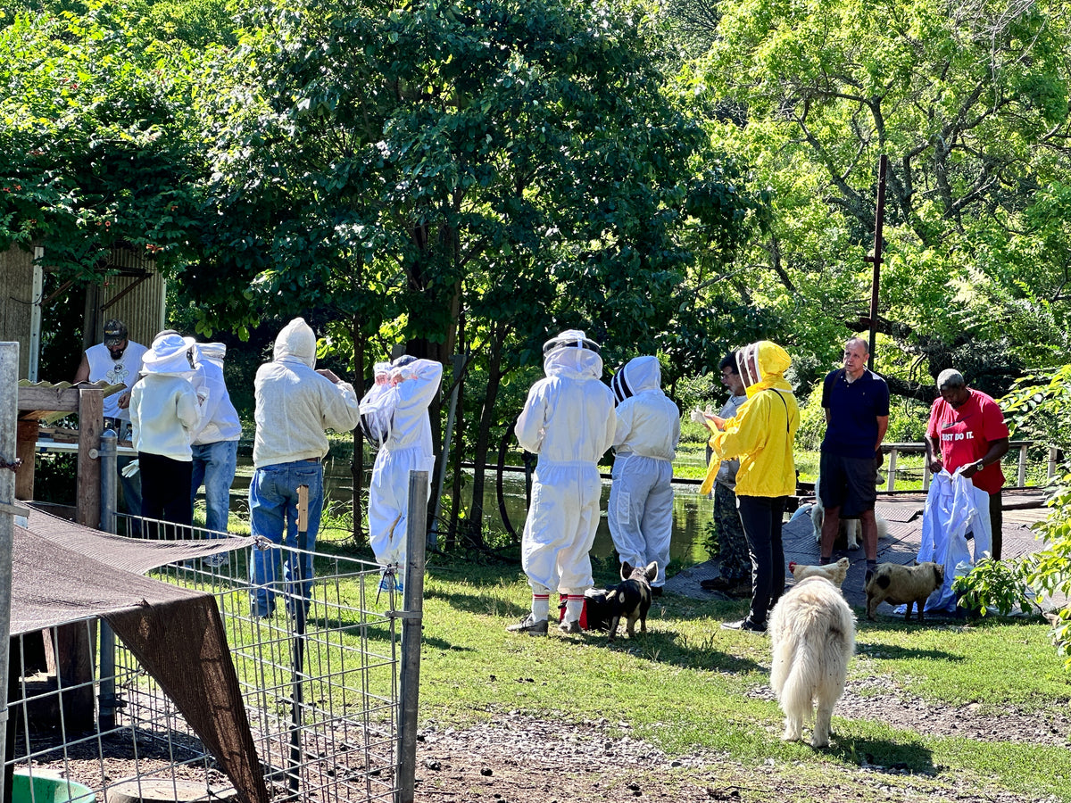 Visit an Apiary!