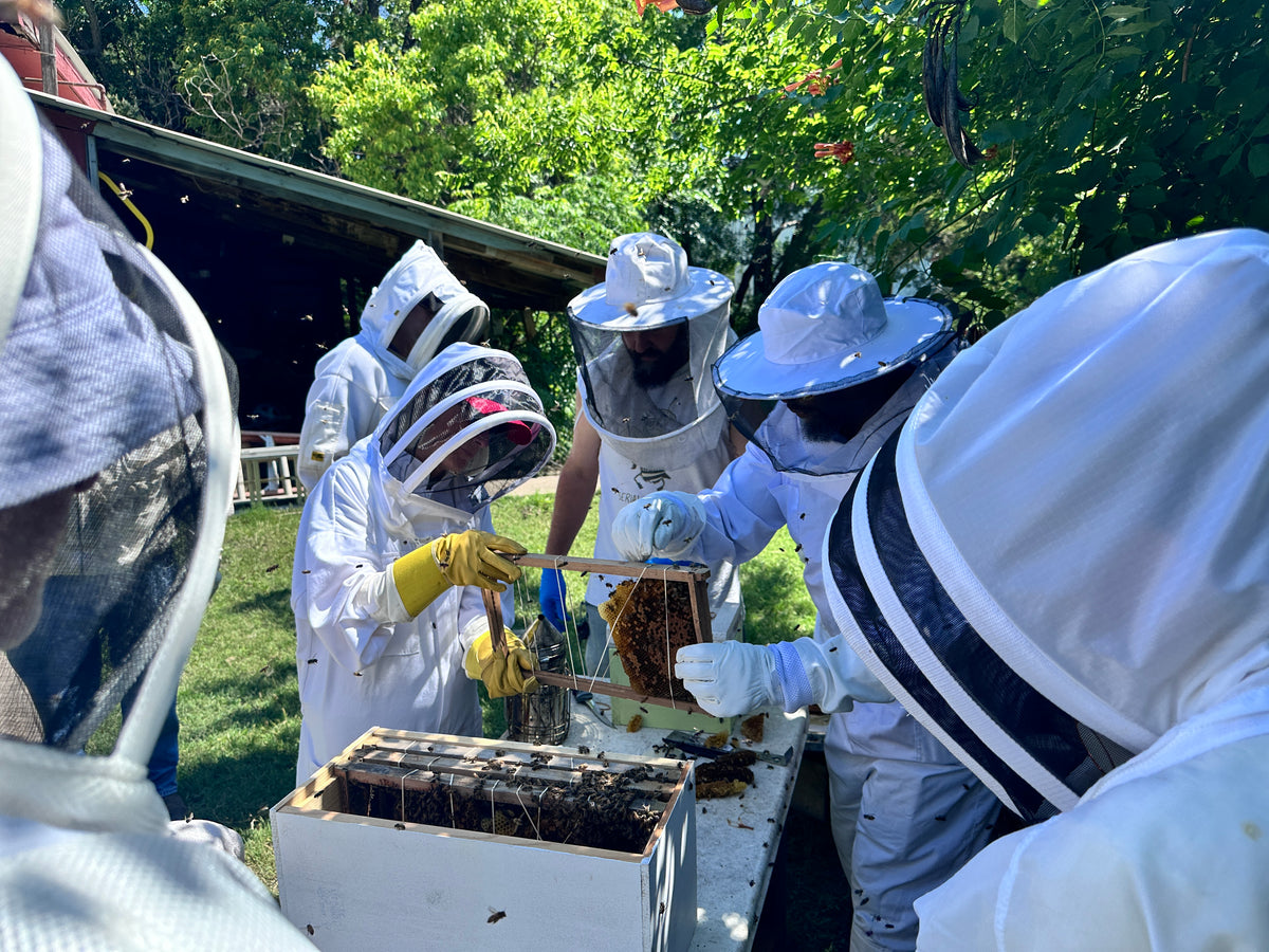 Free Beekeeping Classes