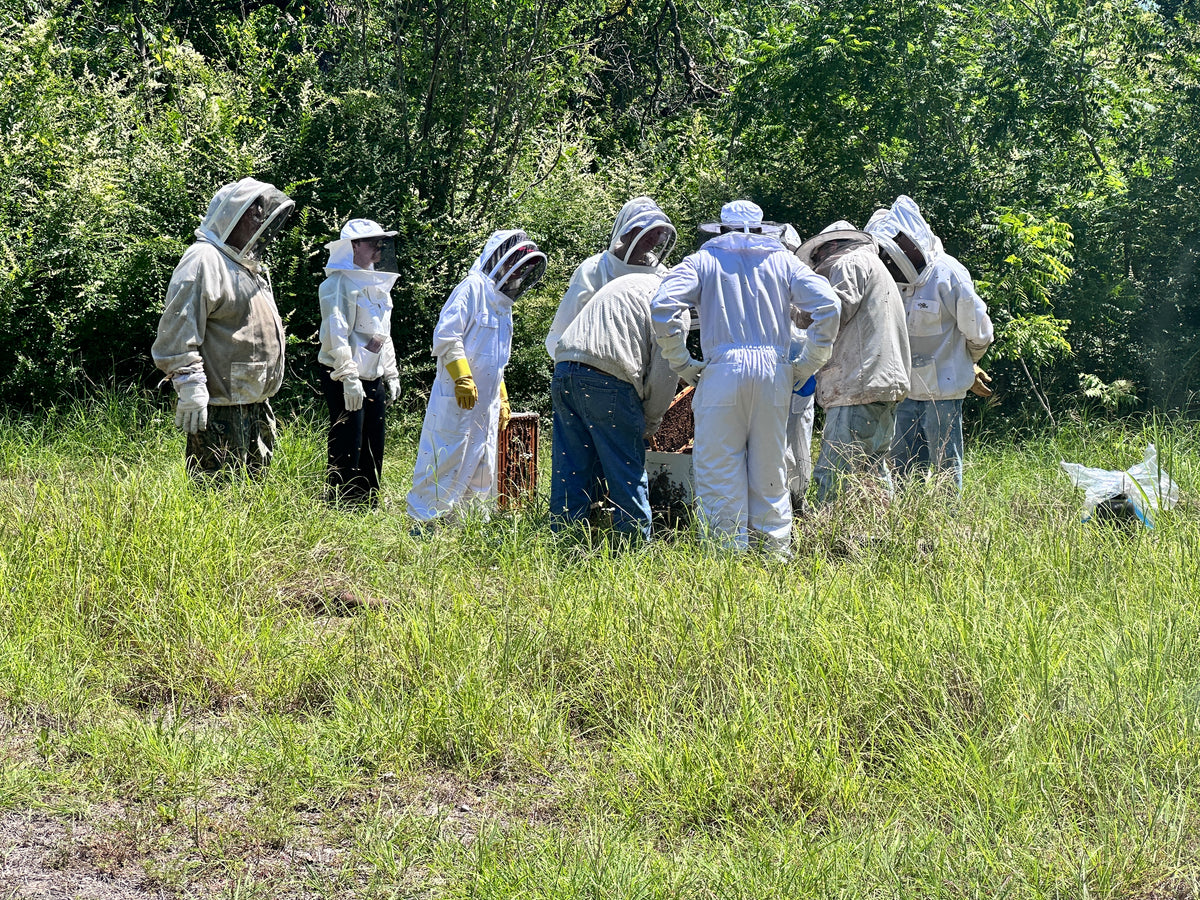 Visit an Apiary!