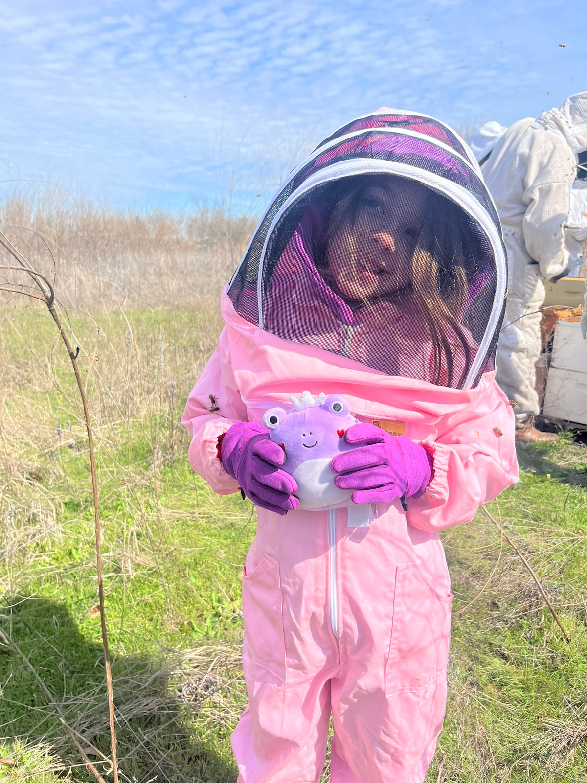 Free Beekeeping Classes