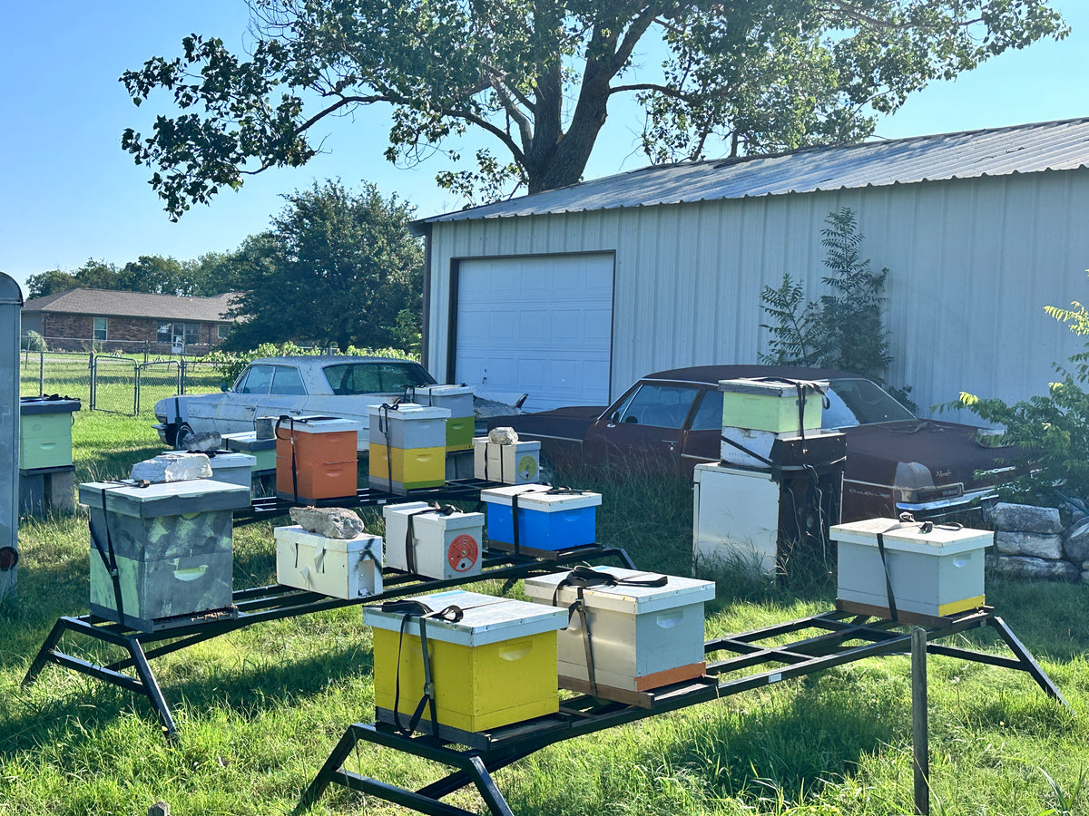 Free Beekeeping Classes