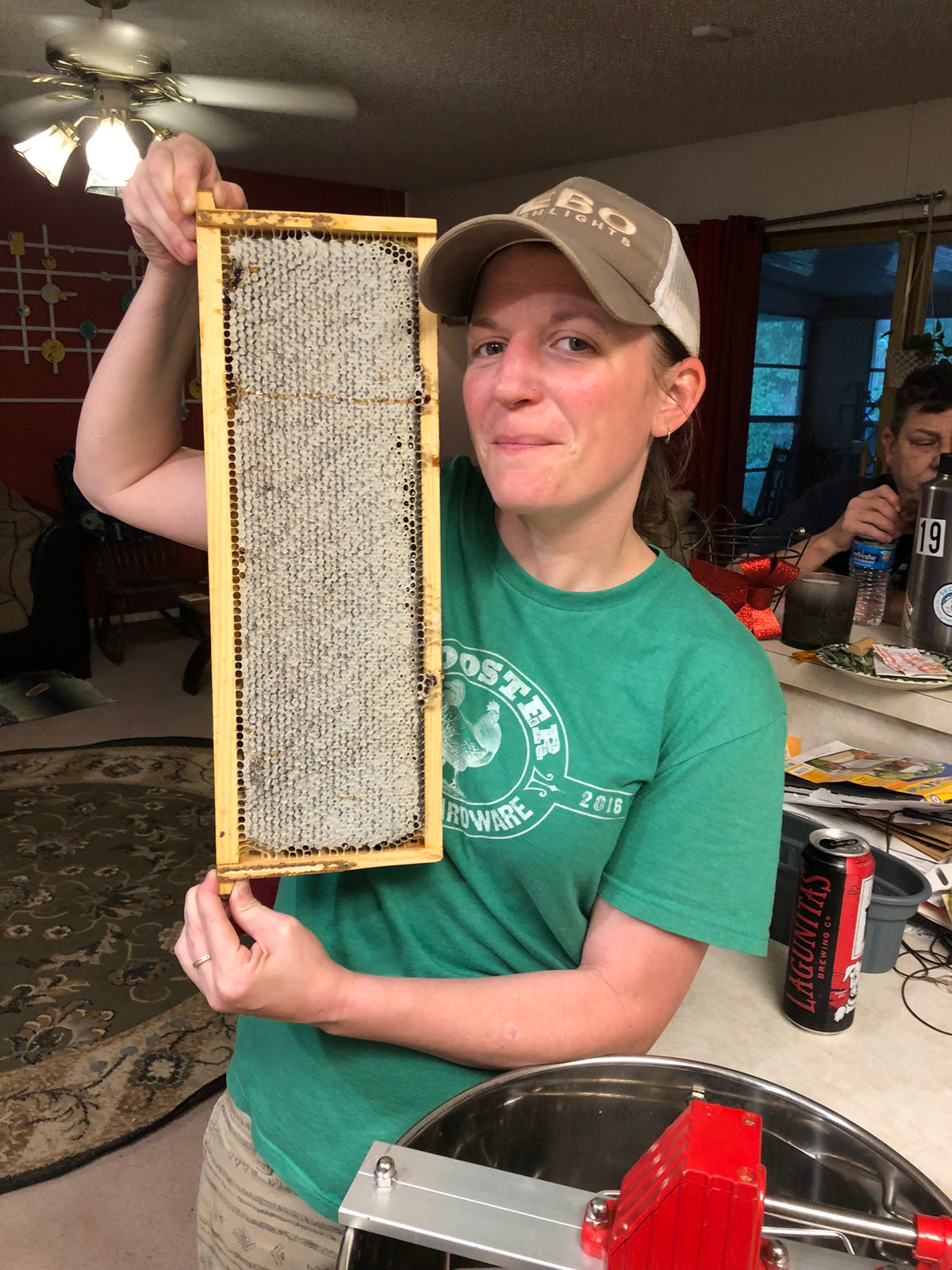 Free Beekeeping Classes
