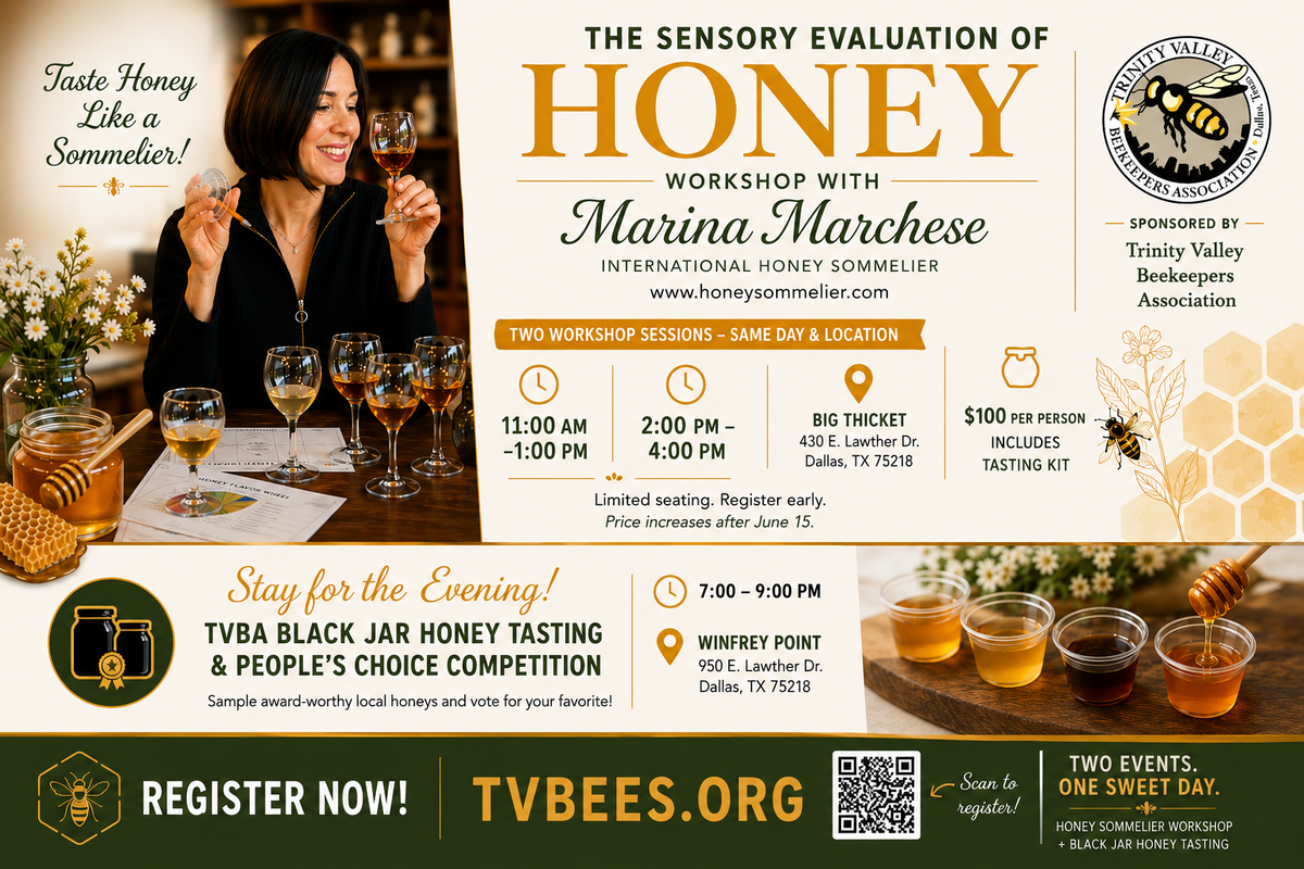 Honey Sensory Workshop (11:00 A.M. - 1:00 P.M.)
