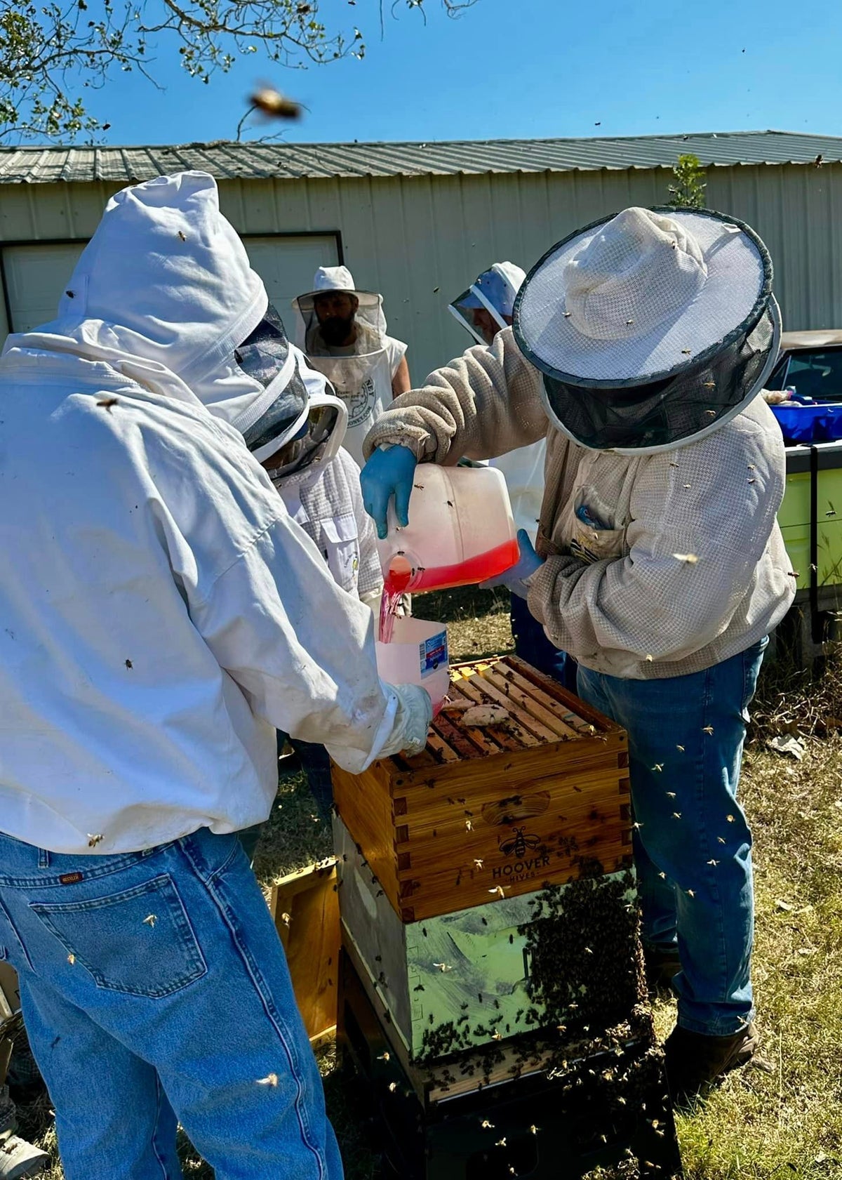 Visit an Apiary!