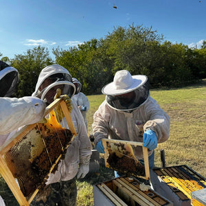 Visit an Apiary!