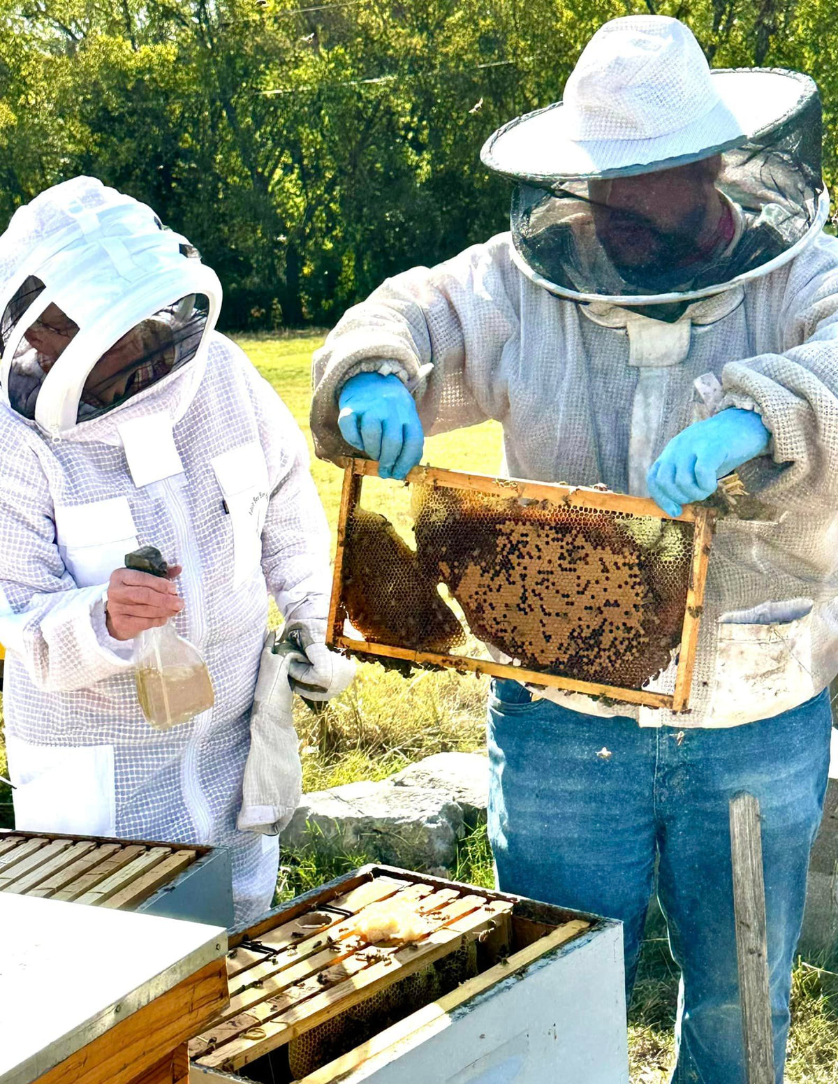 Visit an Apiary!