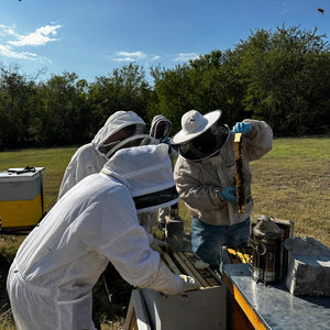 Visit an Apiary!