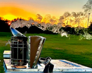 Free Beekeeping Classes