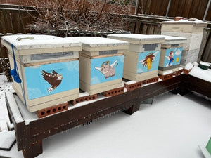 Visit an Apiary!