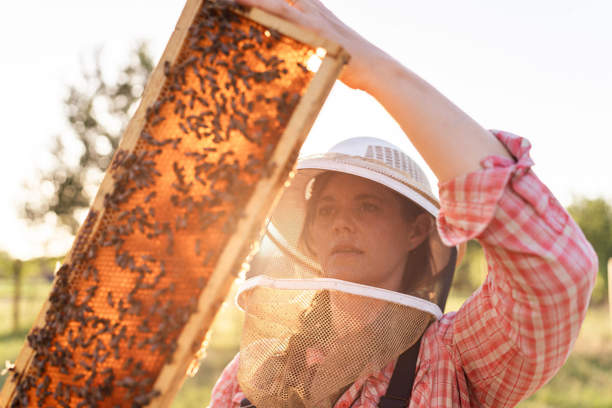 Special Presentation: "Confessions of a Bee Business Owner"