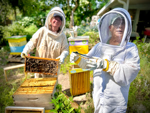 Visit an Apiary!