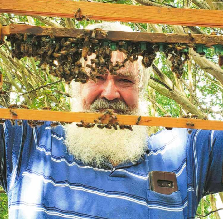 Free Beekeeping Classes