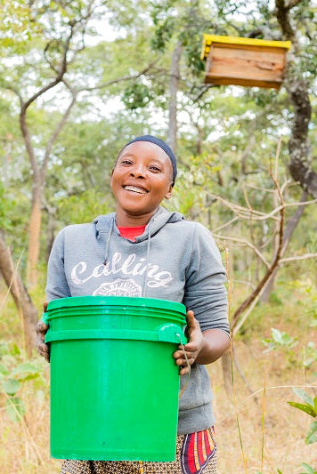 treetop beekeeping in Zambia